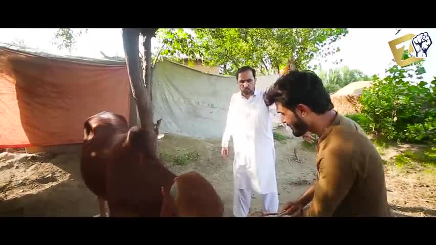 Eid Maal mandi Zindabad vines new Maal mandi 2020 pashto funny video 2020