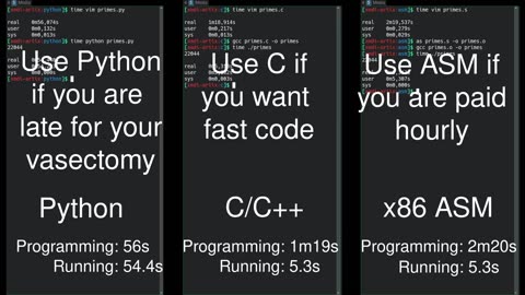 Python vs C/C++ vs Assembly side-by-side comparison