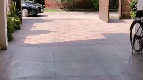 Black car