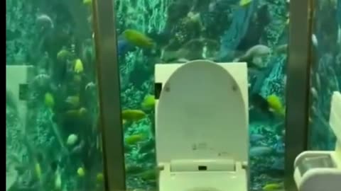 Incredible Aquarium Toilet 😍