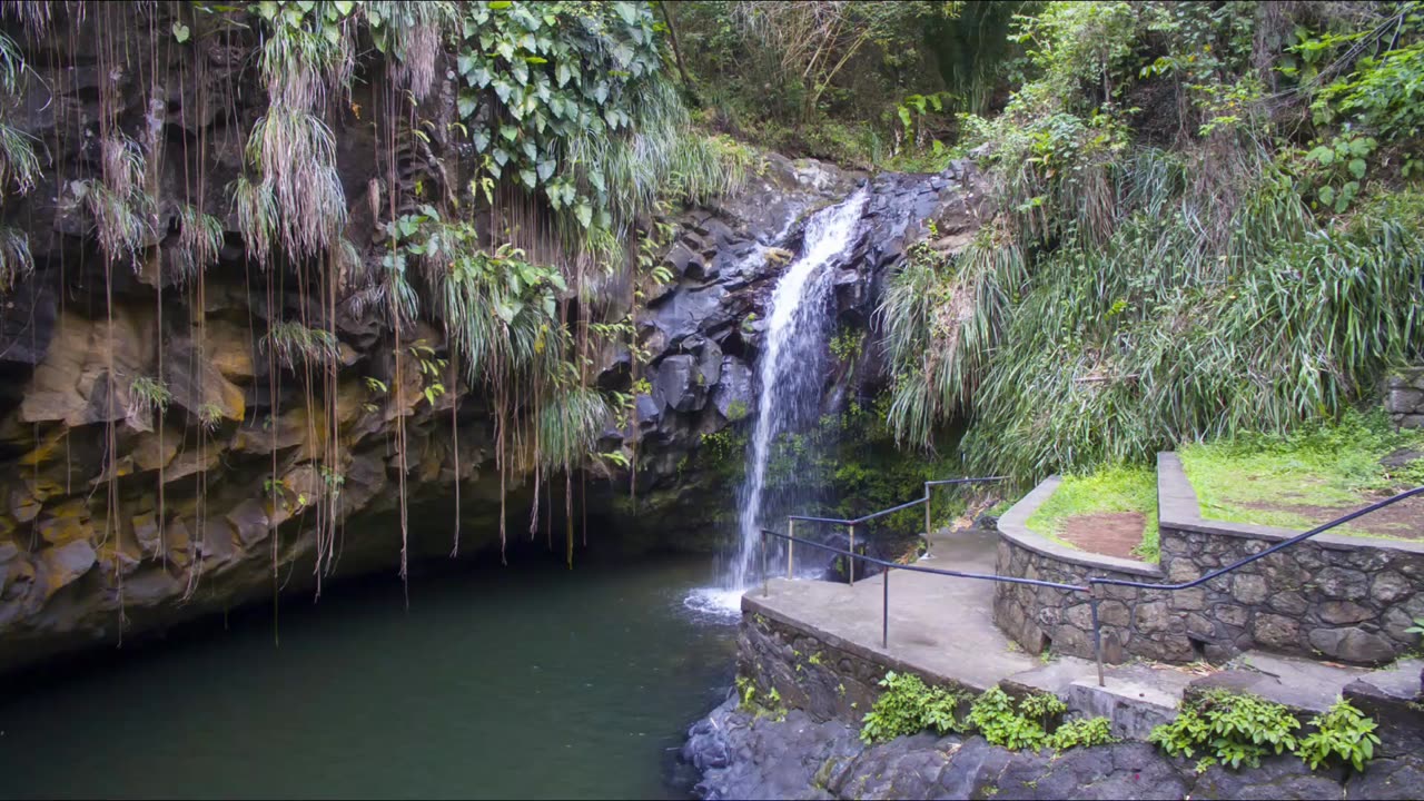 GRENADA #SHORTS