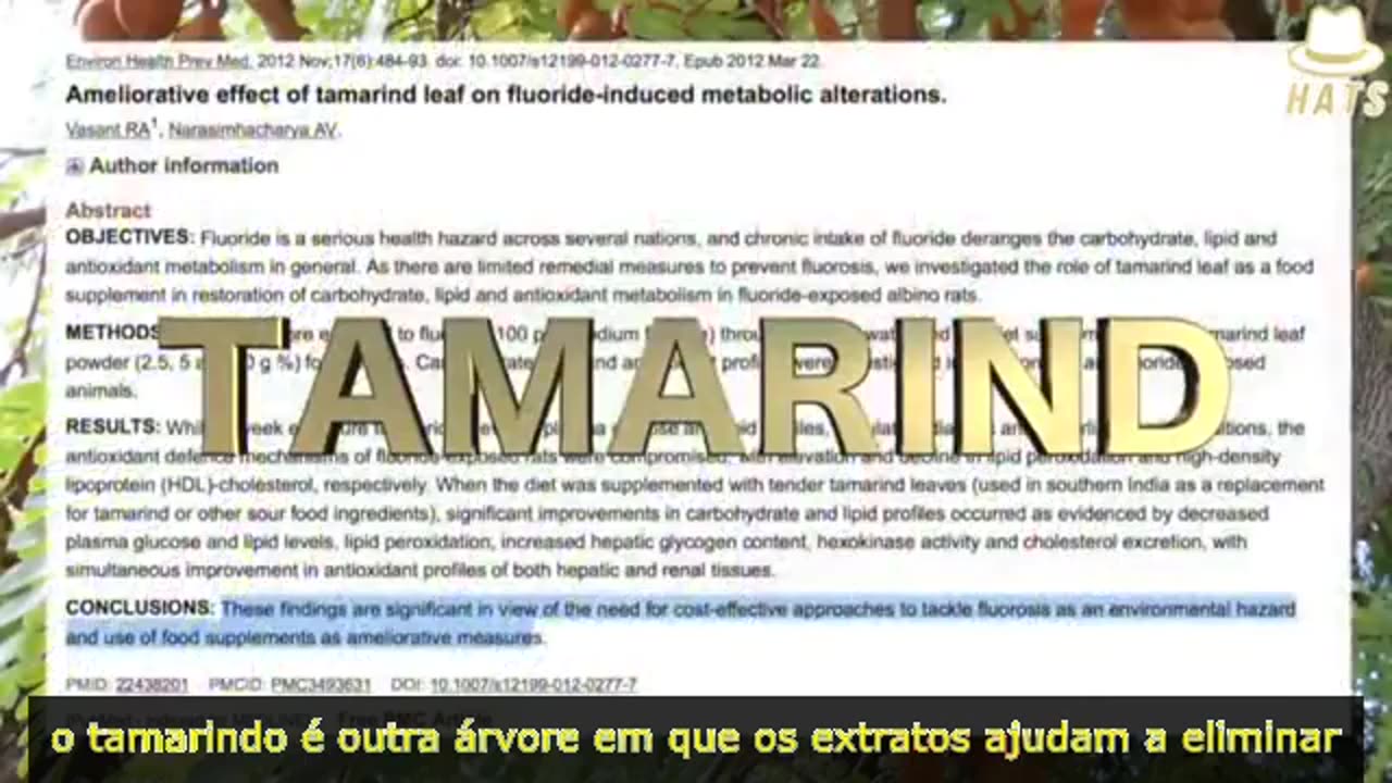 O flúor calcifica sua glândula pineal, que é responsável pela regulação do humor...