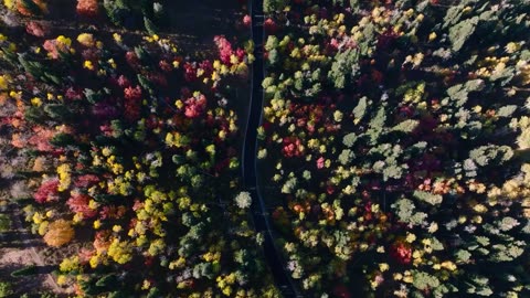 Spectacular, Panoramic Views and Privacy at the top of the Ridge at Red Hawk