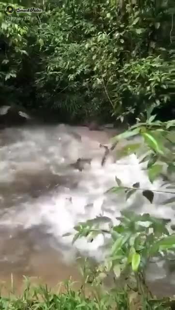 Who can't love this fishing scene in our tiny pond.