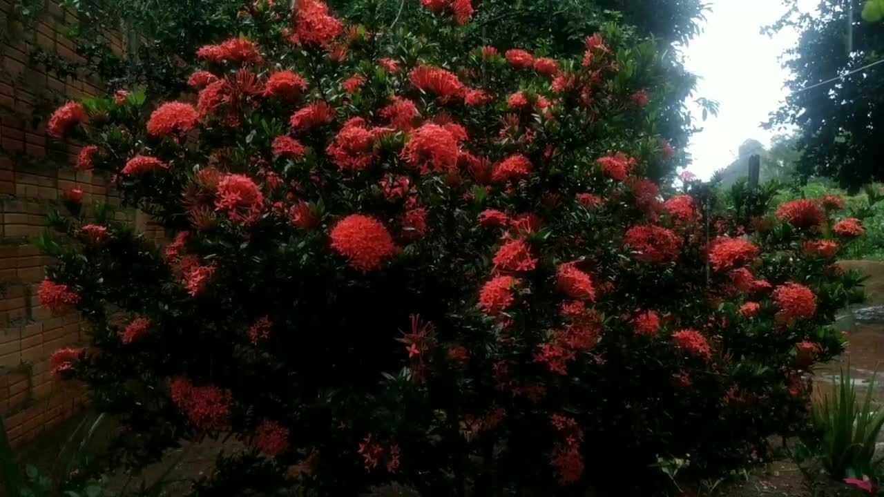 som de chuva para dormir e relaxar..