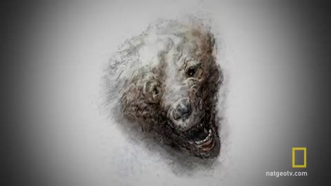 ##DOCUMENTRY THE EVIDENCE OF YETI ##