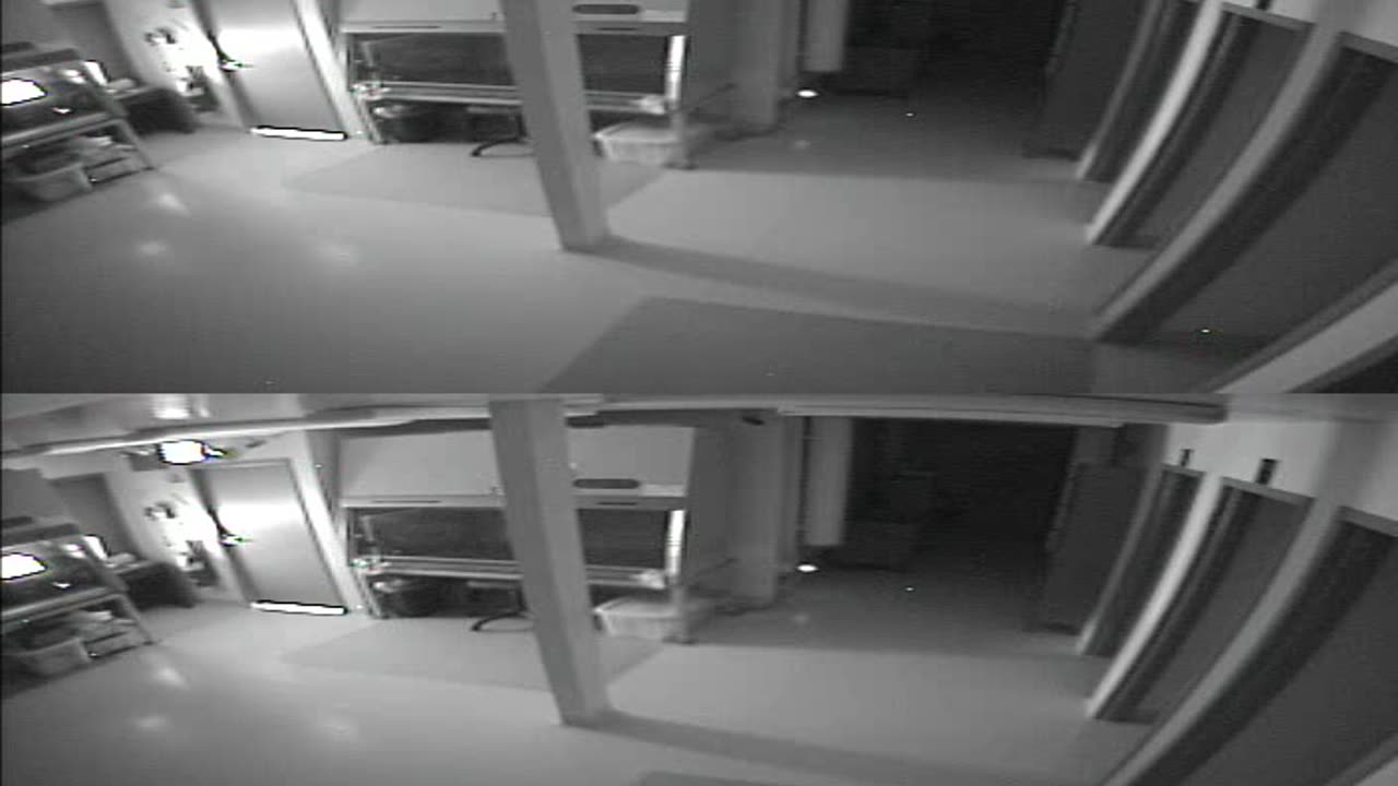 1702CRIB01CribAnalysisArea_2021-01-06_02h00min01s460ms.mp4