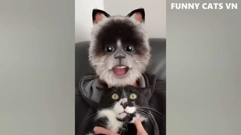 Best Funny Animal Videos 2022 - Funniest Cats And Dogs Video