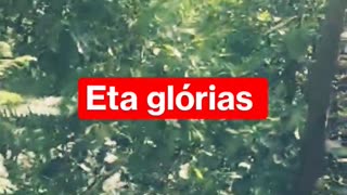 Gloria