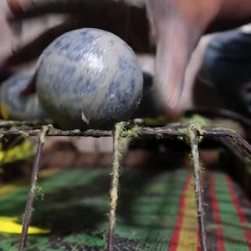 Ever Wondered How Tennis Balls Are Made
