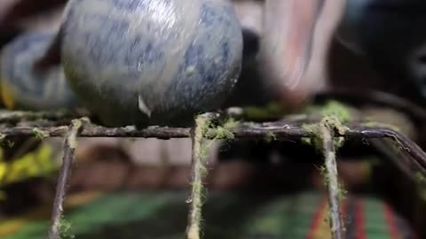 Ever Wondered How Tennis Balls Are Made