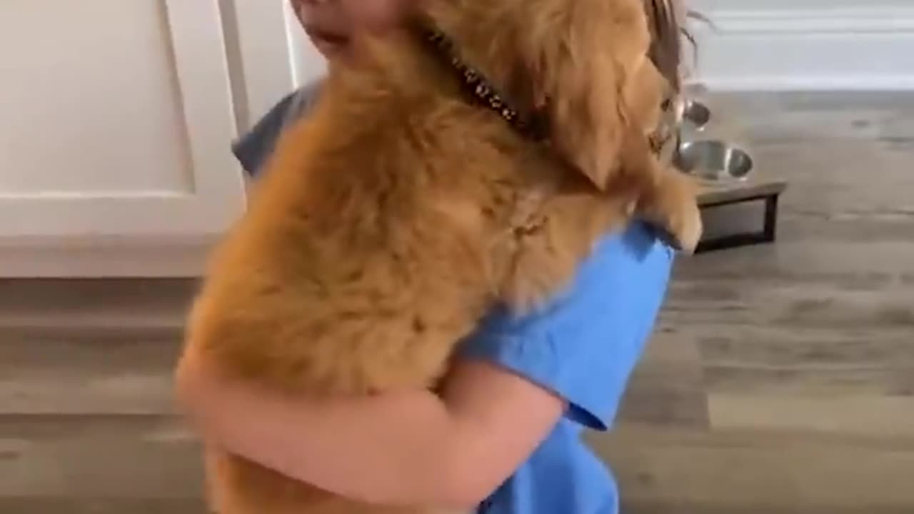Little girl sobs as she holds her new puppy | #Shorts #baby #babygirl#dog