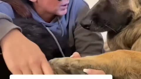 Thats the DOG🐶