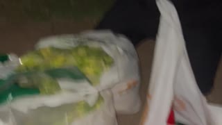 Surprising Grocery Haul From Qdoba Kitchen