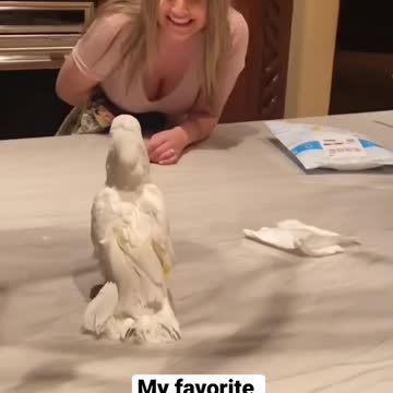 "Birds of a Feather"