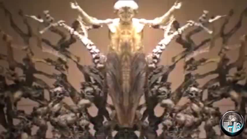 ATTENTION: Urgent/graphic