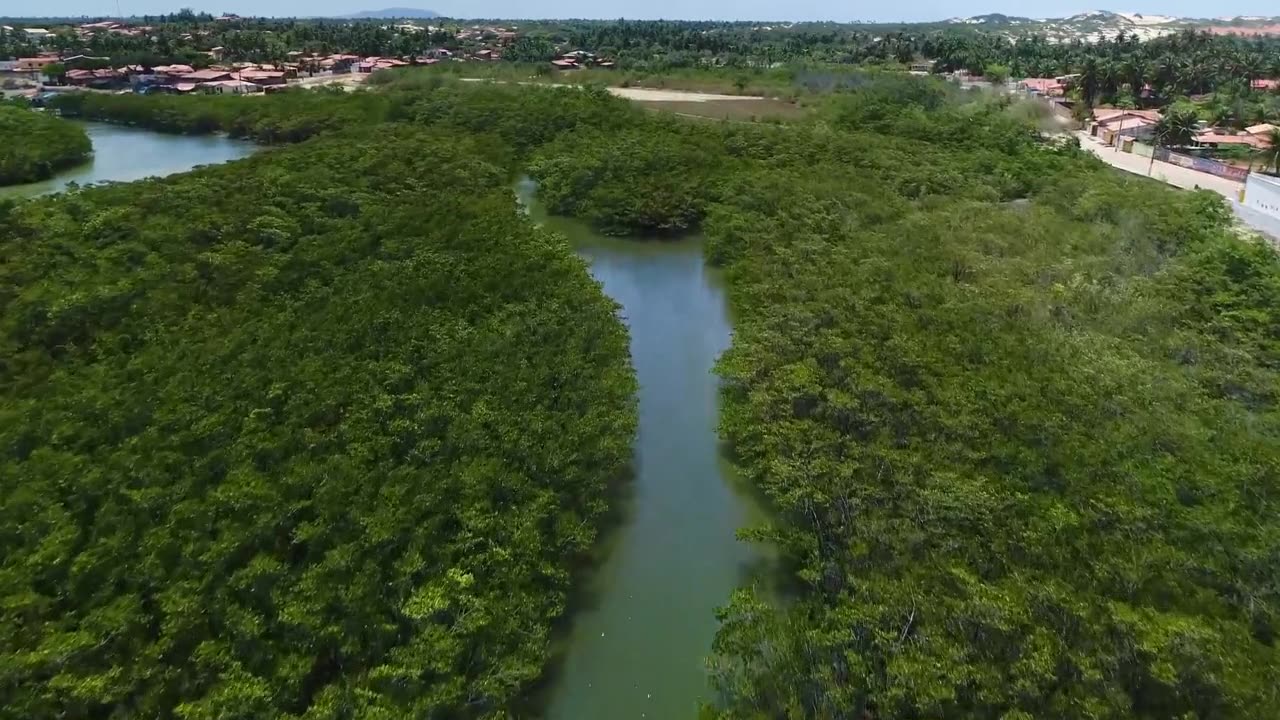 Climate Crisis: Brazil’s Cerrado Suffers Worst Drought in 700 Years