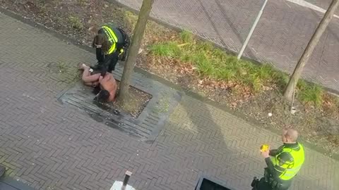 Untergang Niederlandes