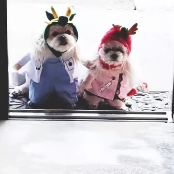 a happy new year from japan