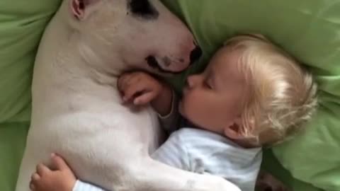 The Cutest Cuddle Buddies!!