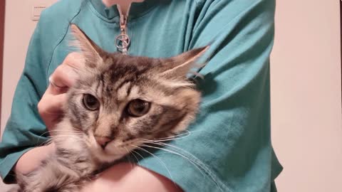 Kitty gently closes her eyes and quietly enjoys her lunch break