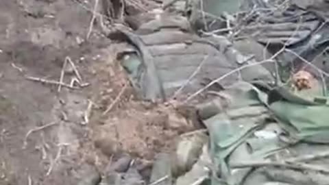 Russian Trenches Full of Them