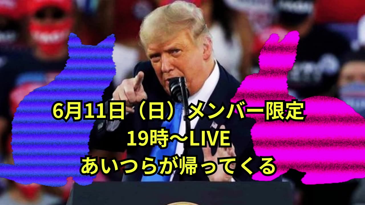 2023/6/11 メンバー限定Live