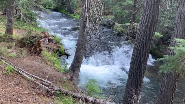 Central Oregon - Three Sisters Wilderness - Green Lakes - Eight Waterfalls in Around a Mile!