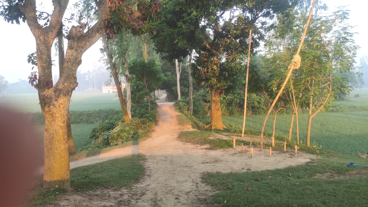 Beautiful village in a morning time