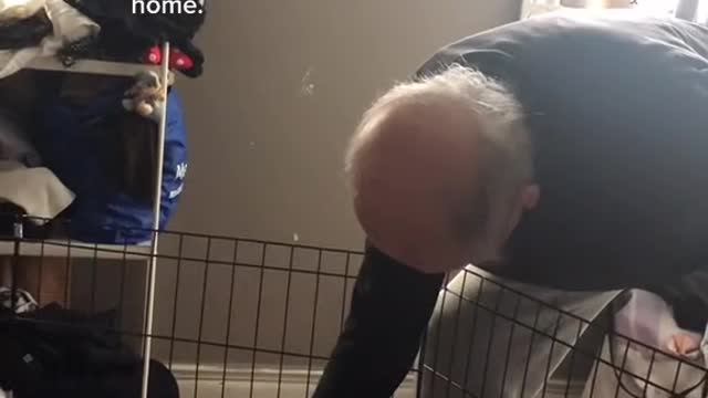 So I brought home a puppy without telling my grandpa and this is how it went-1