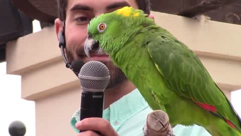 Parrot Talking Zoo Visits_p7