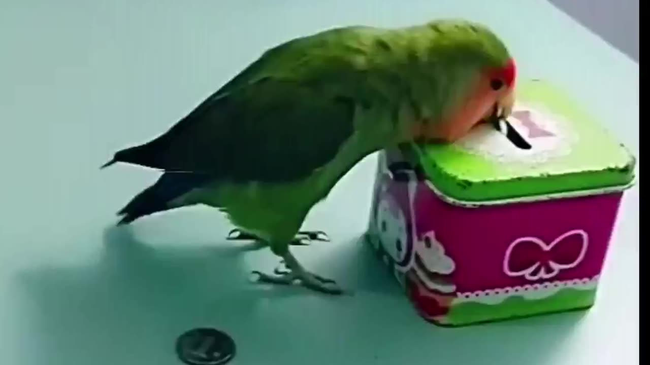 Funny videos #public videos #beautiful videos