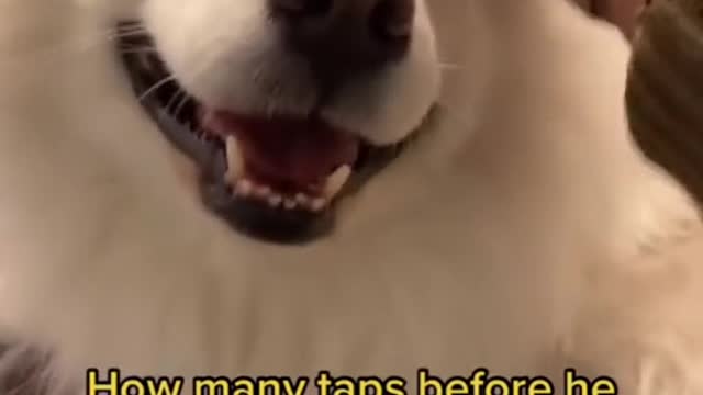 The way their mouth slowly turned to a smile