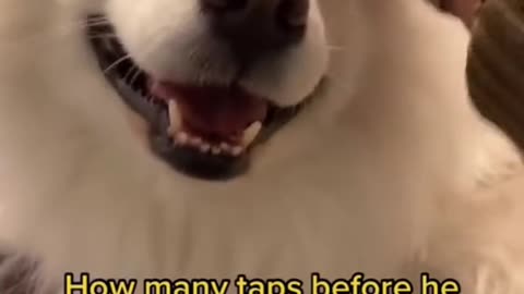 The way their mouth slowly turned to a smile