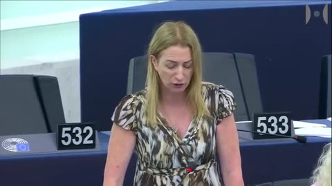 The EU Is Submitting All Its Interest To The USA