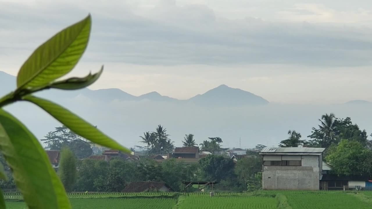 This is the beauty of my village in Indonesia