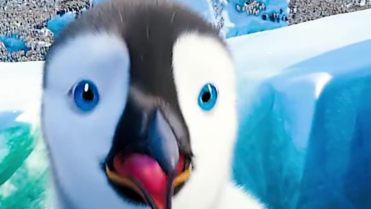 Happy feet 2