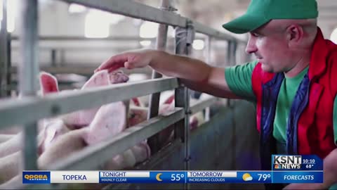 The Next Pandemic Could Destroy the U.S. Farm Industry