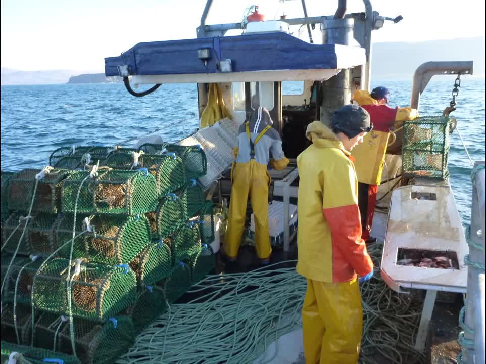 Lady Jane at the prawns ,,,Mull ,,,,