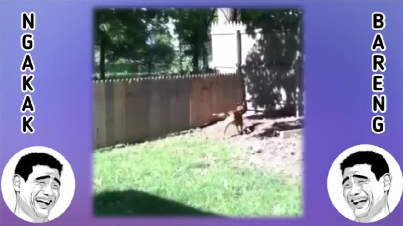 funny moments