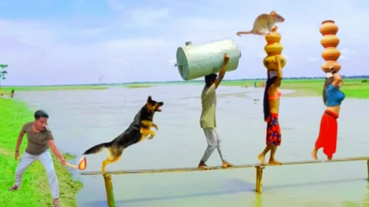 Must watch new comedy action video 📹