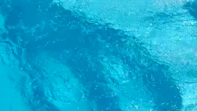 Limpeza de piscina