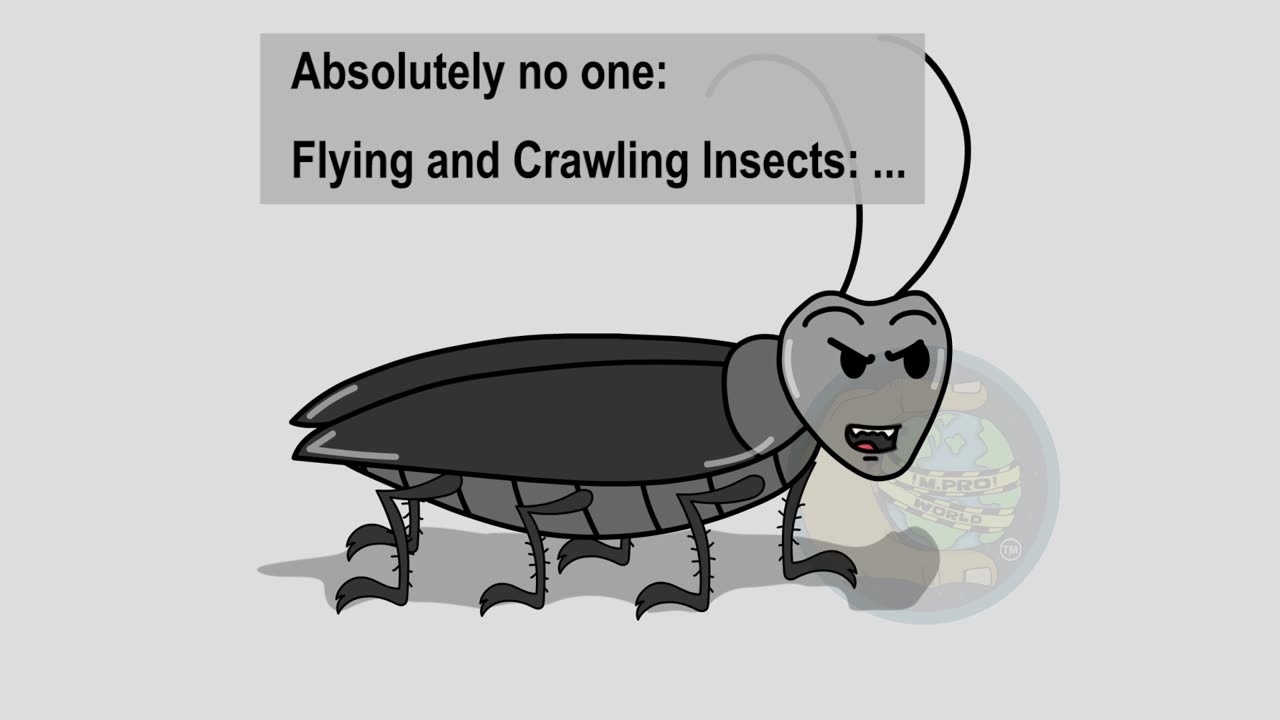 Insects be like...