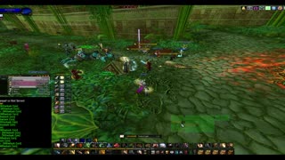 Turtle Wow - MM Weekly ZG - 14 December - Paladin POV