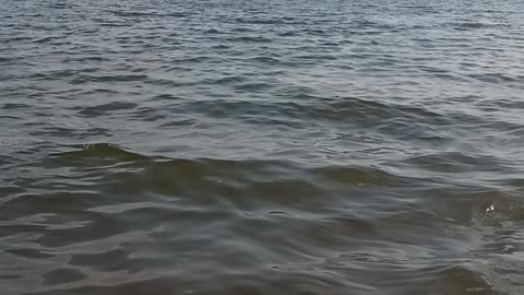 Swimming on Lake Selyava at the end of August