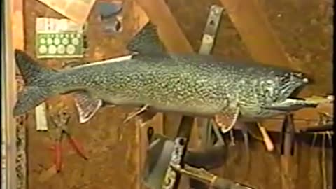 How to Paint a Lake Trout