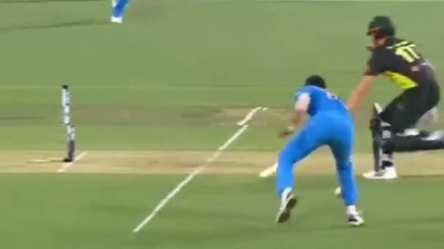 What A THROW BY JASPRIT BUMRAH🤭 SHOCKED🤔 VIDEOS