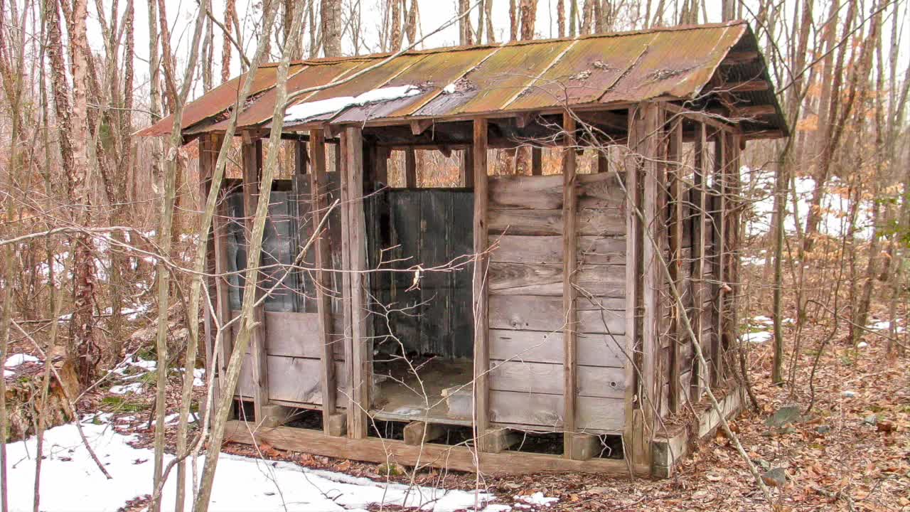 The Gold Dust Building