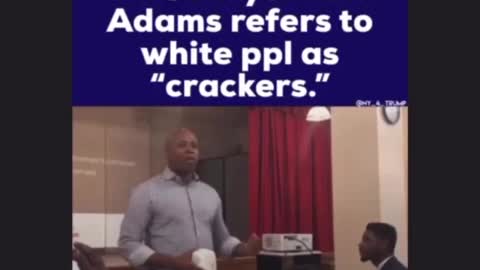 We got the best politicians 🤣