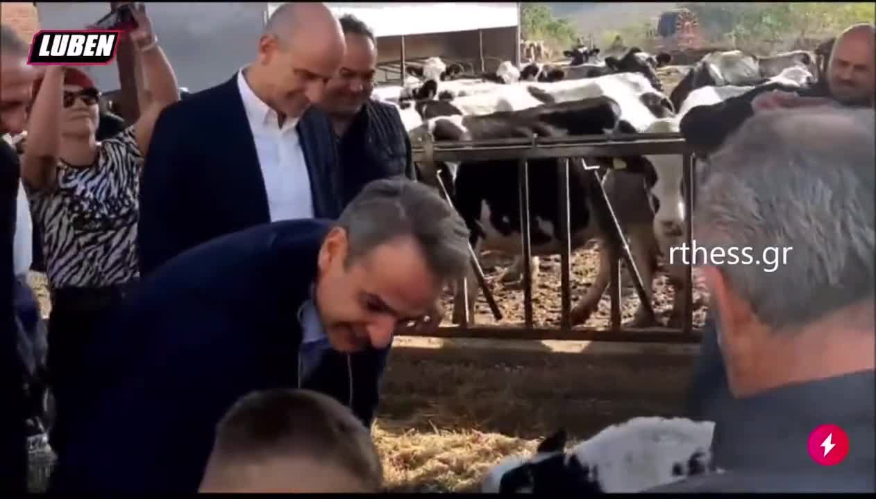 Ο ΜΗΤΣΟΤΑΚΗΣ ΚΑΙ ΤΑ ΠΡΟΒΑΤΑ.